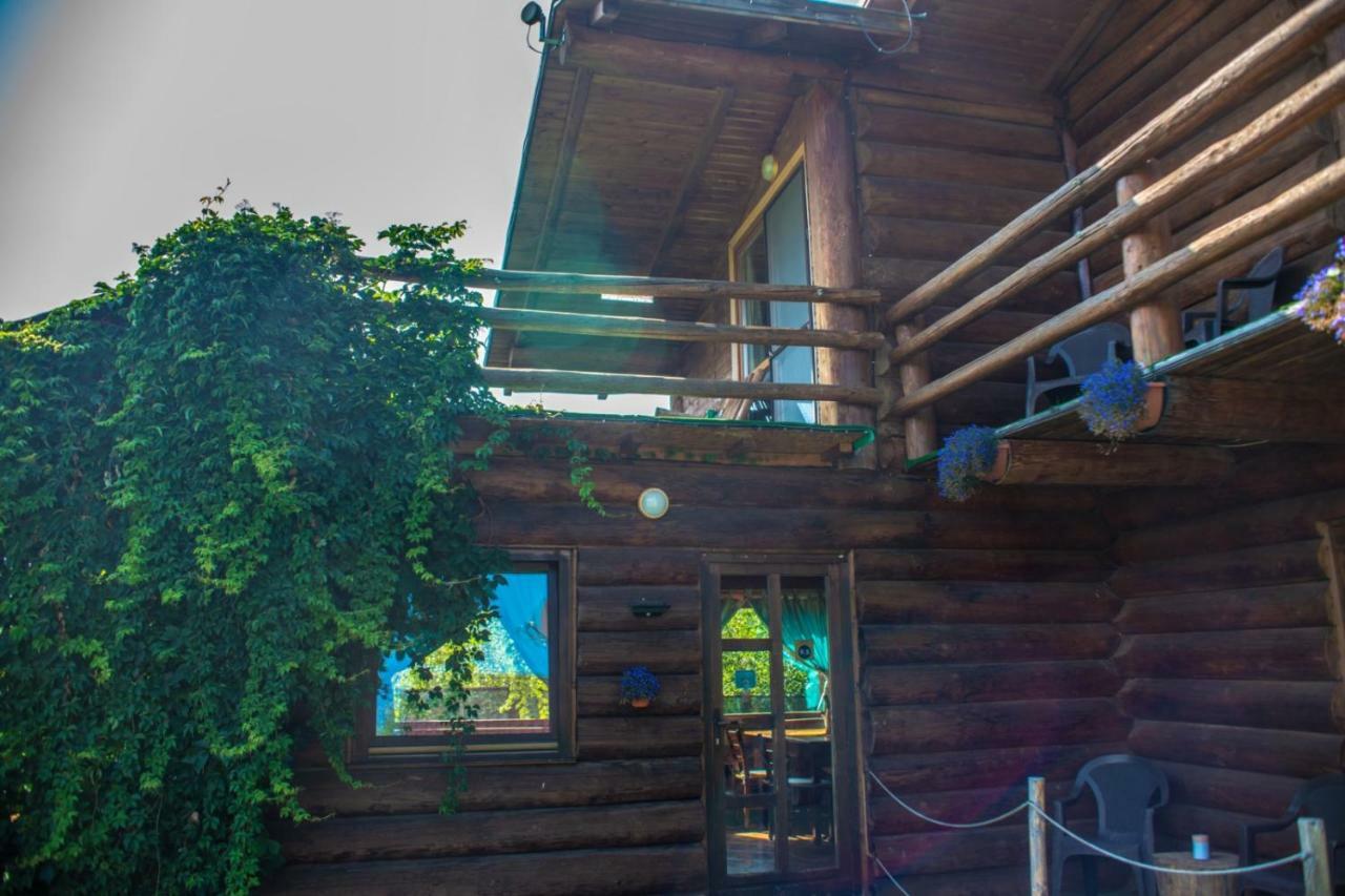 Гостевой дом Casa Muntelui - Sambata Сымбэта-де-Сус Экстерьер фото